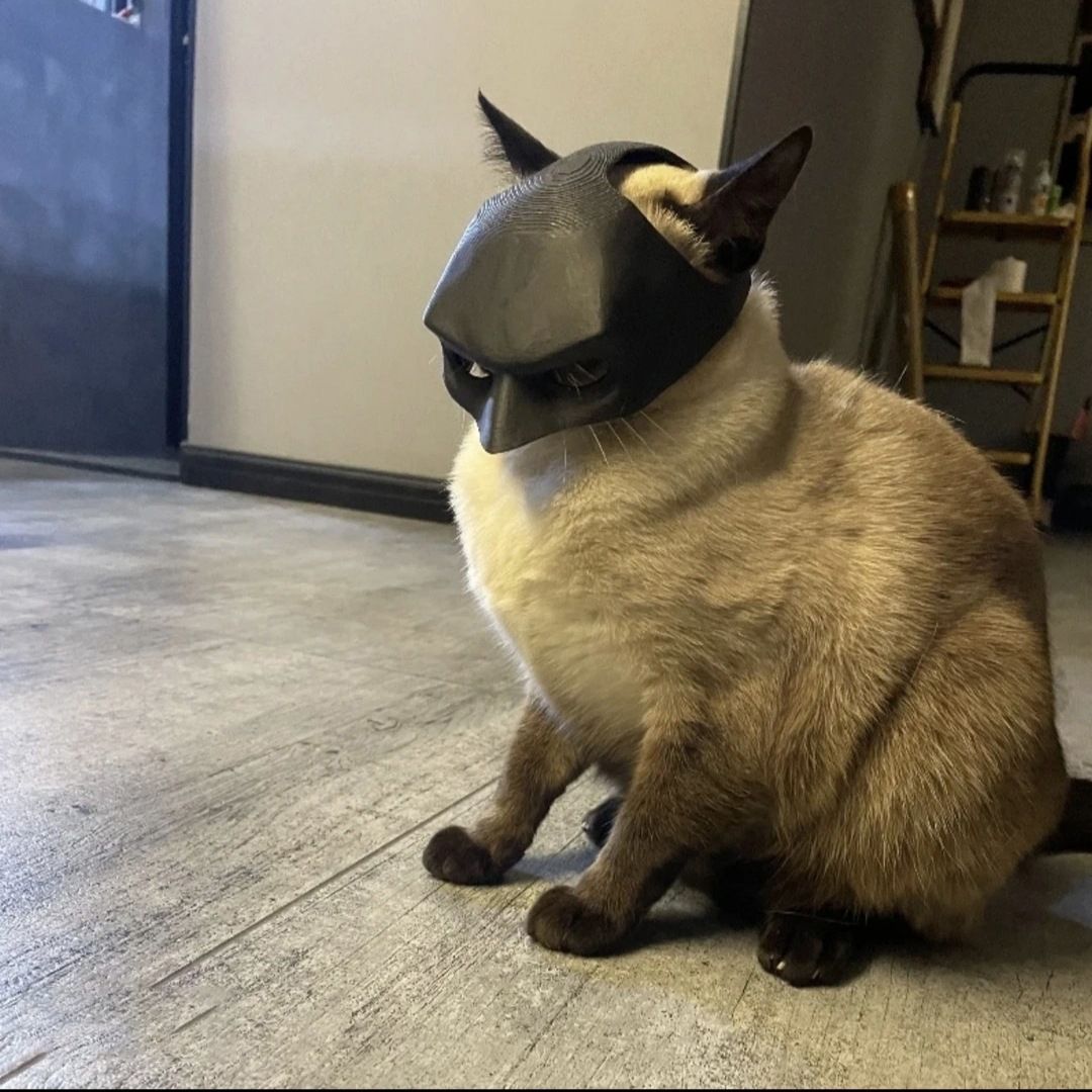 3D printed Hulk Cat Arm White - Image 7