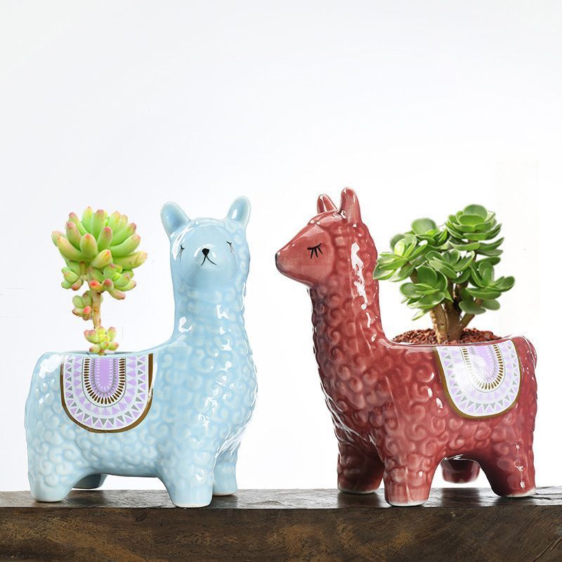 Alpaca Orchid Ceramic Planter - Image 5