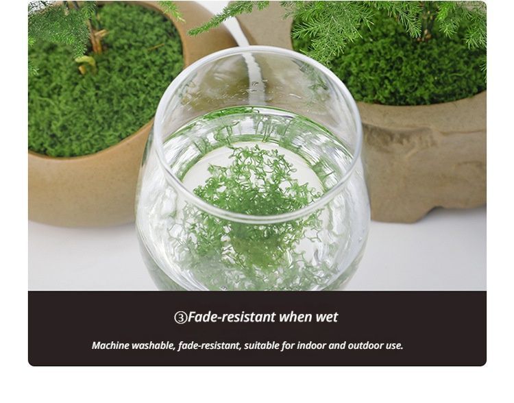 diy artificial moss lawn-Dark Green Filamentous Moss 1000g (Bulk) - Image 5