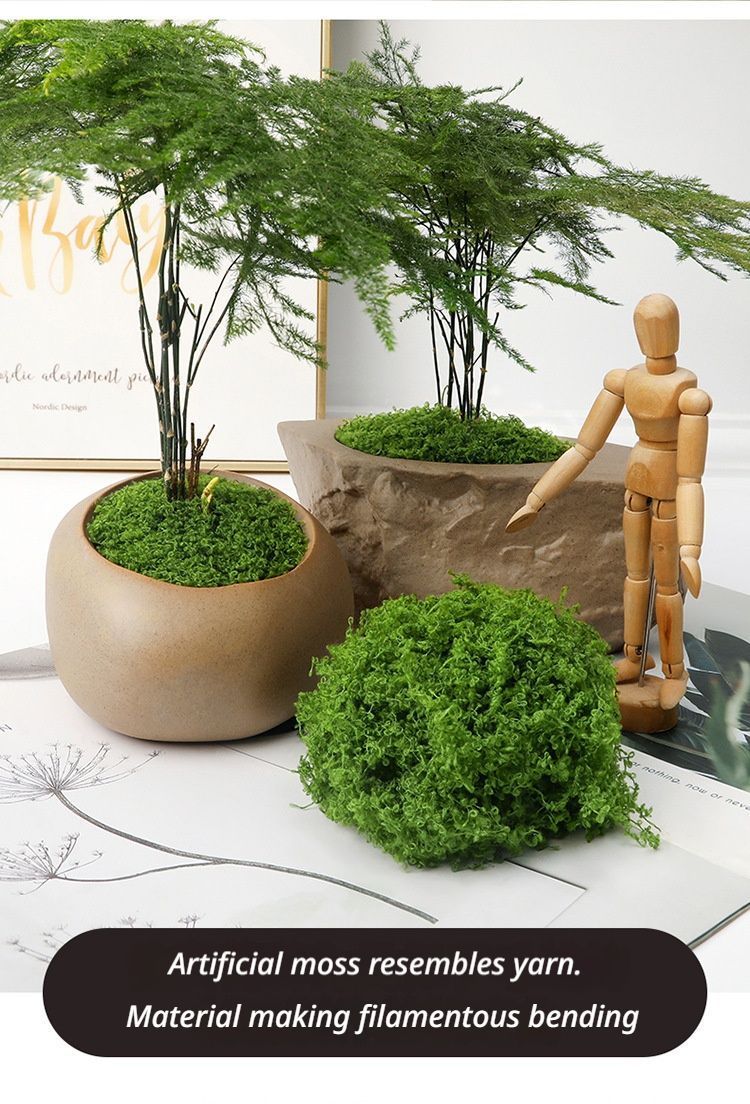 diy artificial moss lawn-Dark Green Filamentous Moss 200g - Image 3