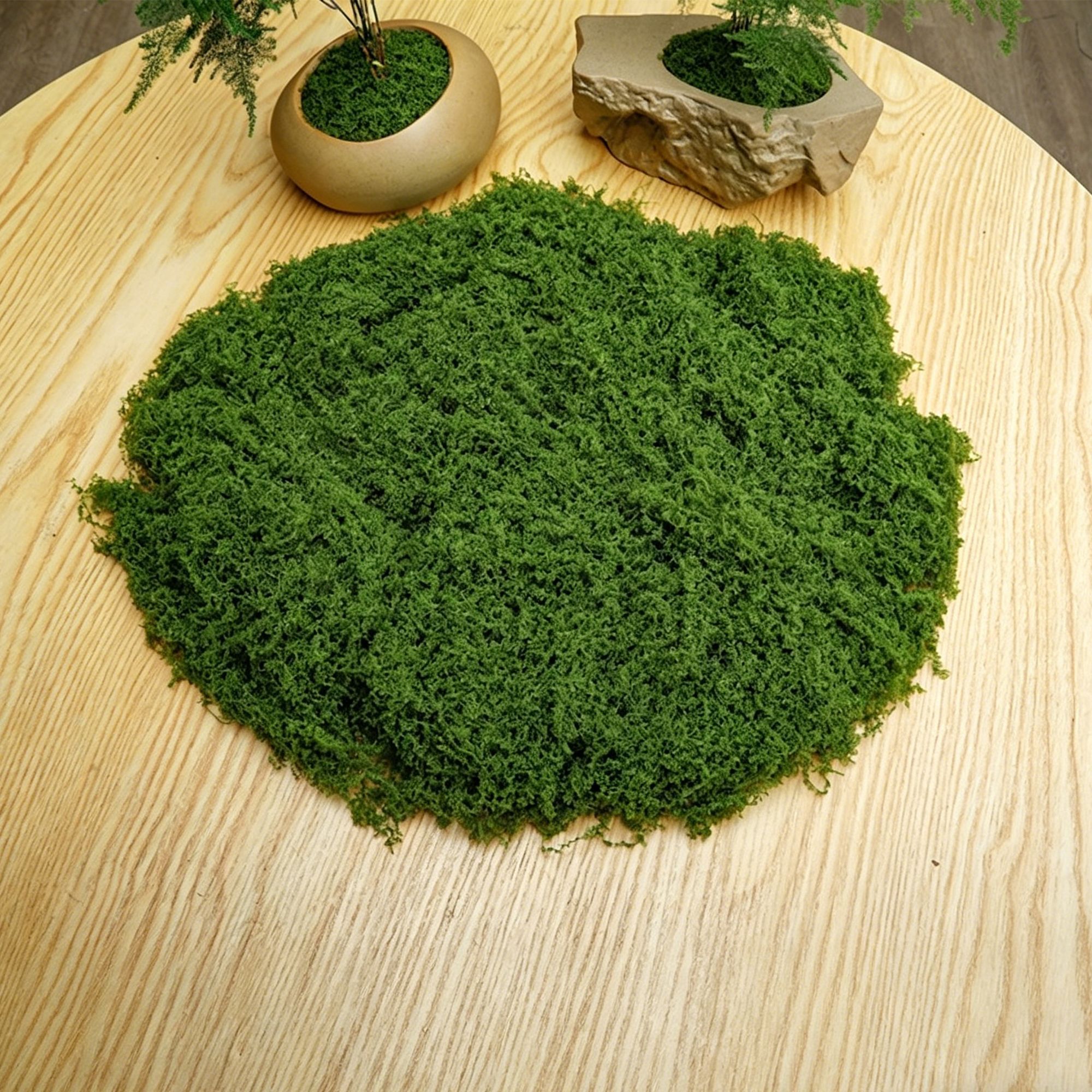diy artificial moss lawn-Dark Green Filamentous Moss 50g - Image 1