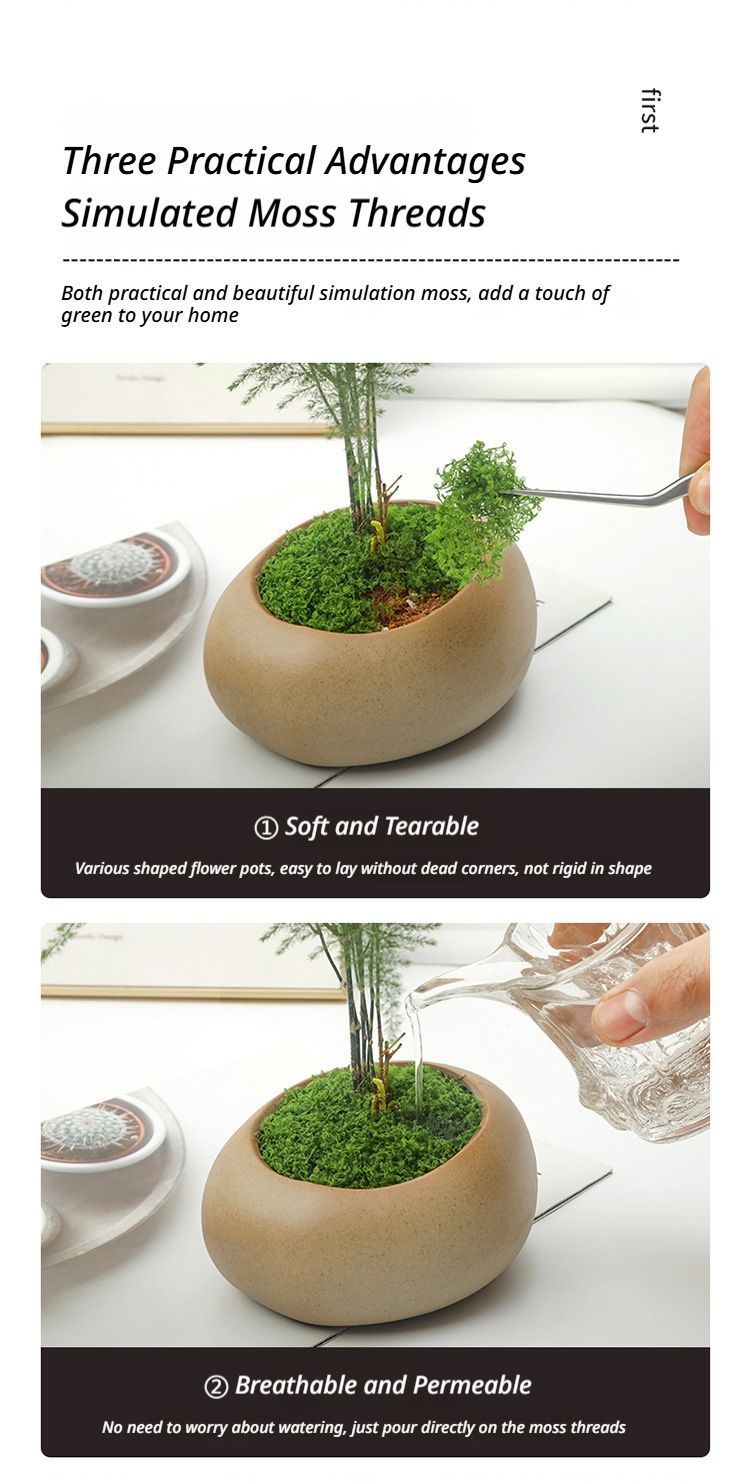 diy artificial moss lawn-Dark Green Filamentous Moss 50g - Image 4