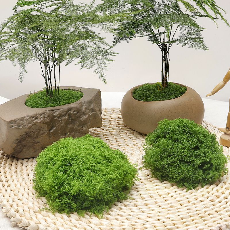diy artificial moss lawn-Light Green Filamentous Moss 200g - Image 1