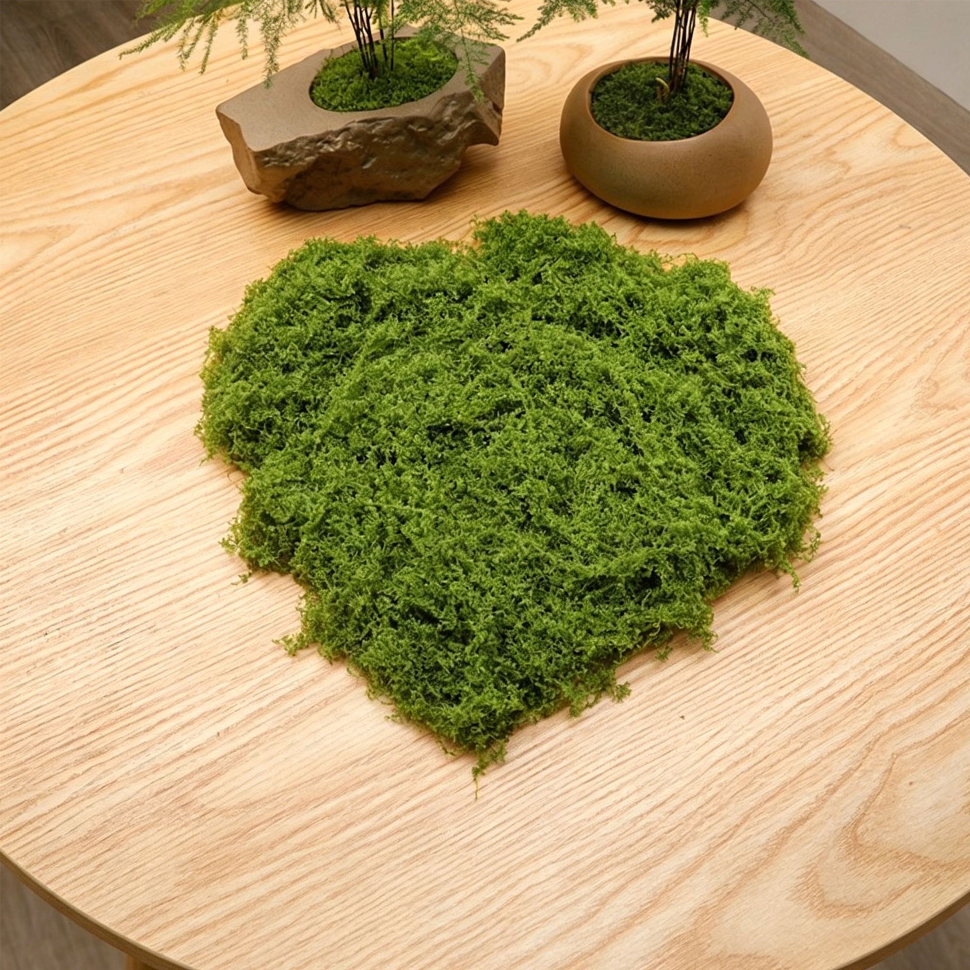 diy artificial moss lawn-Light Green Filamentous Moss 20g - Image 1