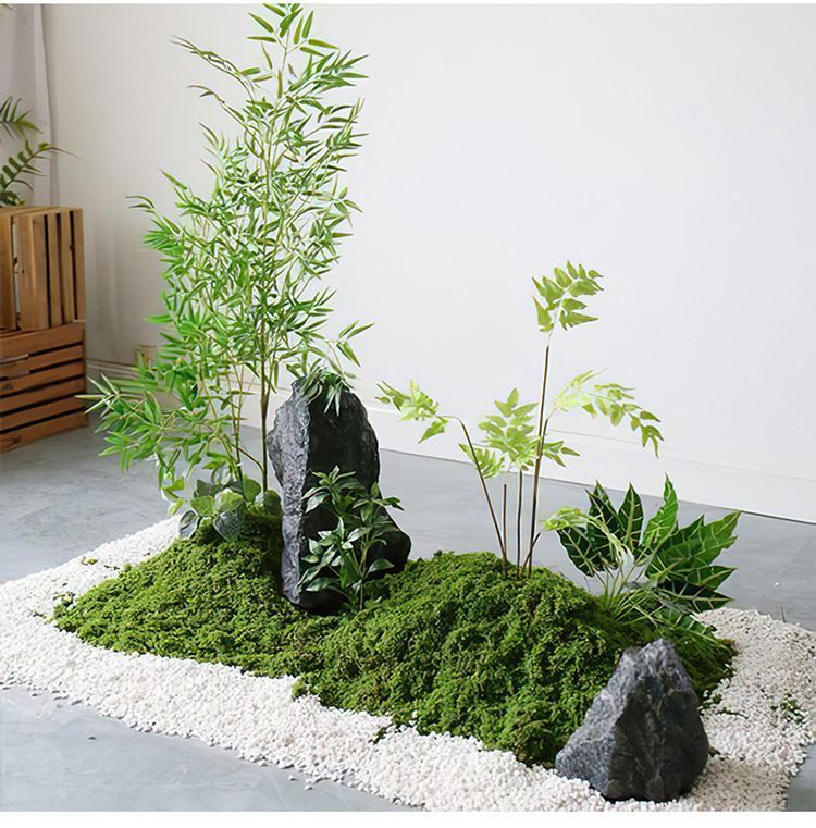 diy artificial moss lawn-Light Green Filamentous Moss 20g - Image 8