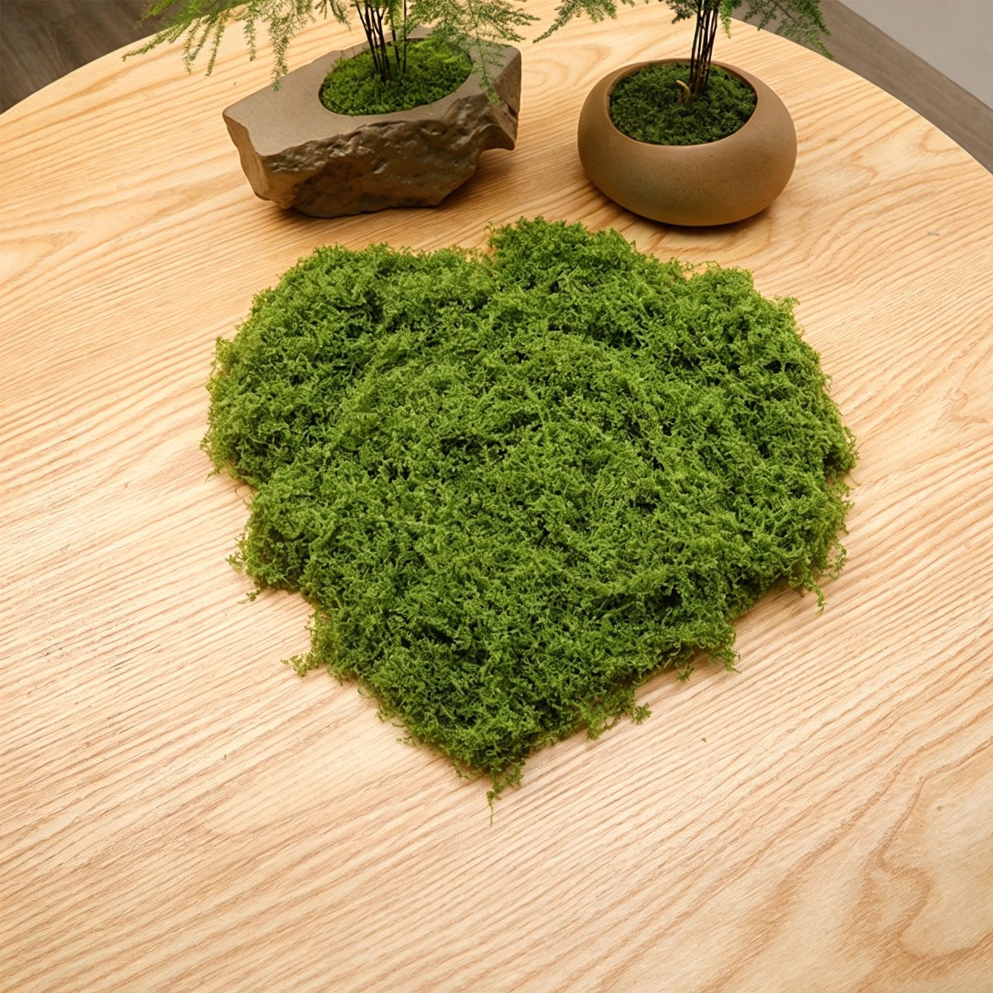 diy artificial moss lawn-Light Green Filamentous Moss 30g - Image 1