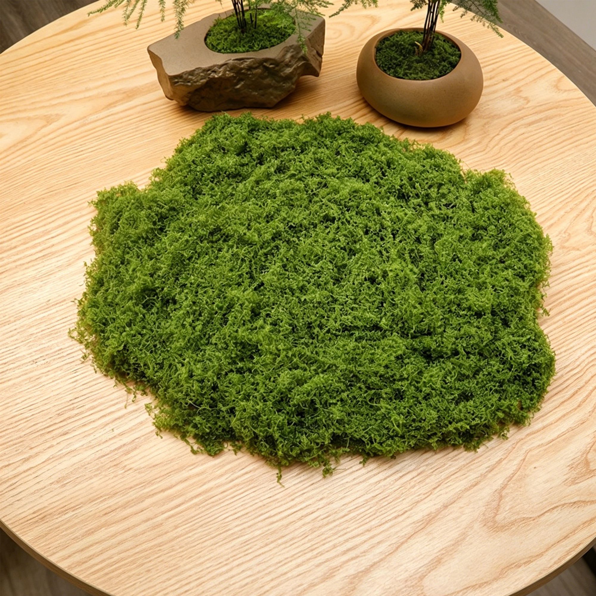 diy artificial moss lawn-Light Green Filamentous Moss 50g - Image 1