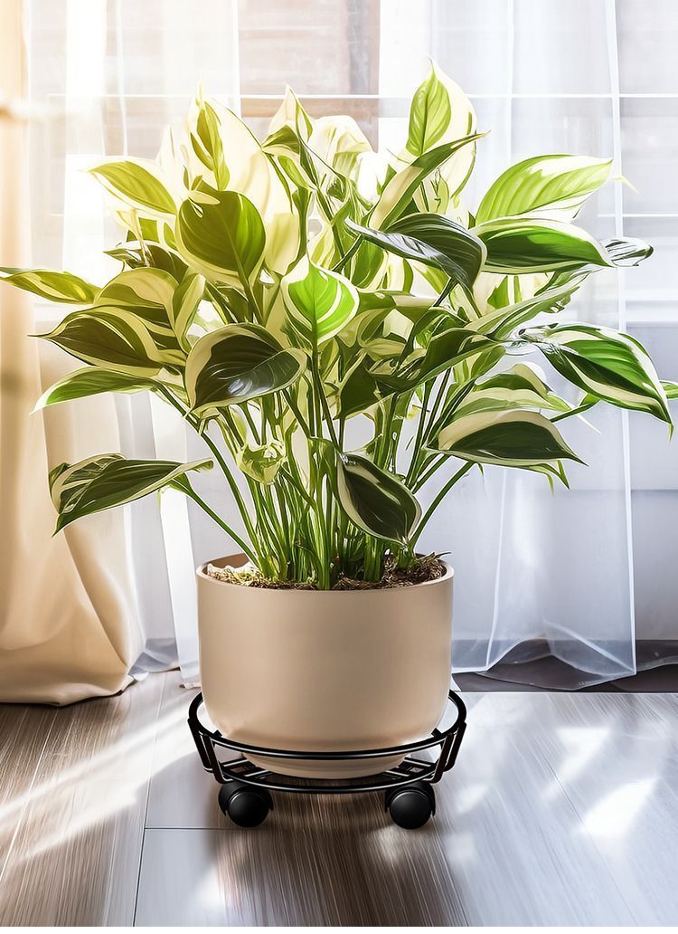 Black Round Movable Plant Caddy with Wheels - Image 2