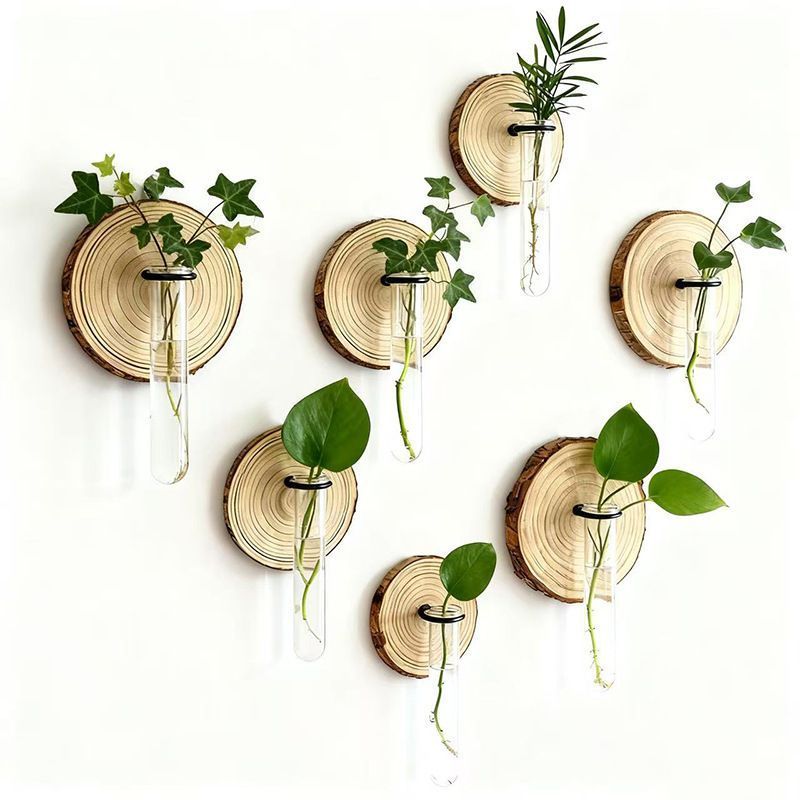 Creative Test Tube Hydroponic Vase-Set of 6 - Image 2
