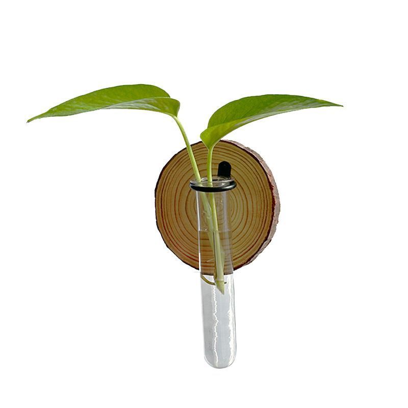 Creative Test Tube Hydroponic Vase-Set of 6 - Image 5