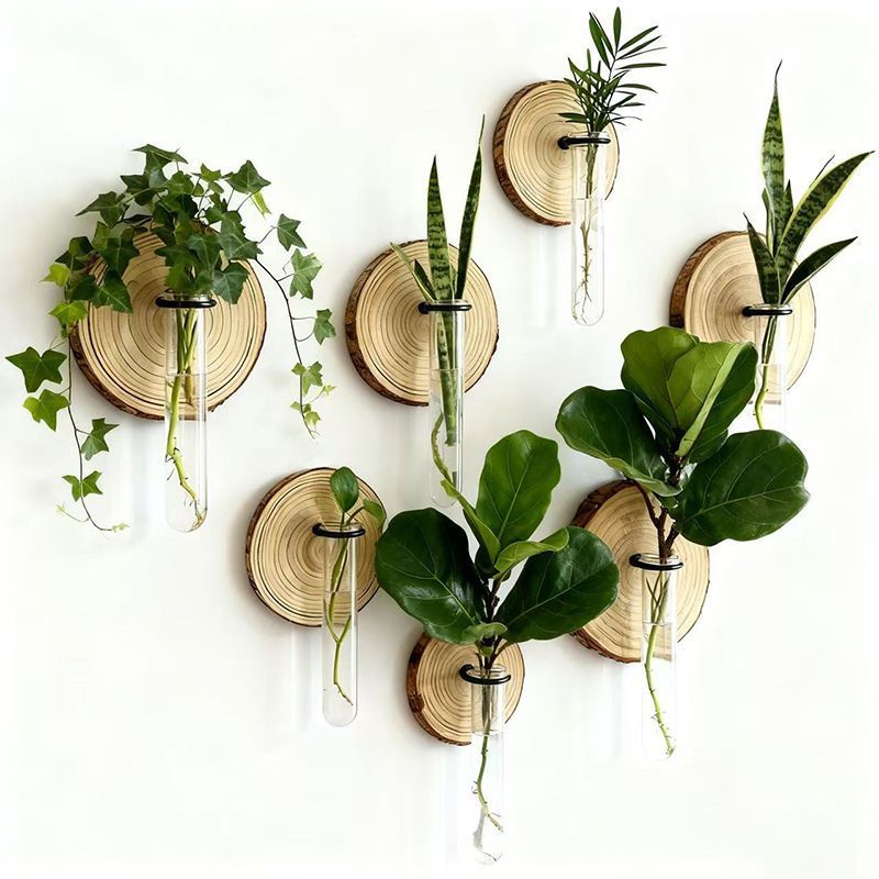 Creative Test Tube Hydroponic Vase-Set of 6 - Image 7