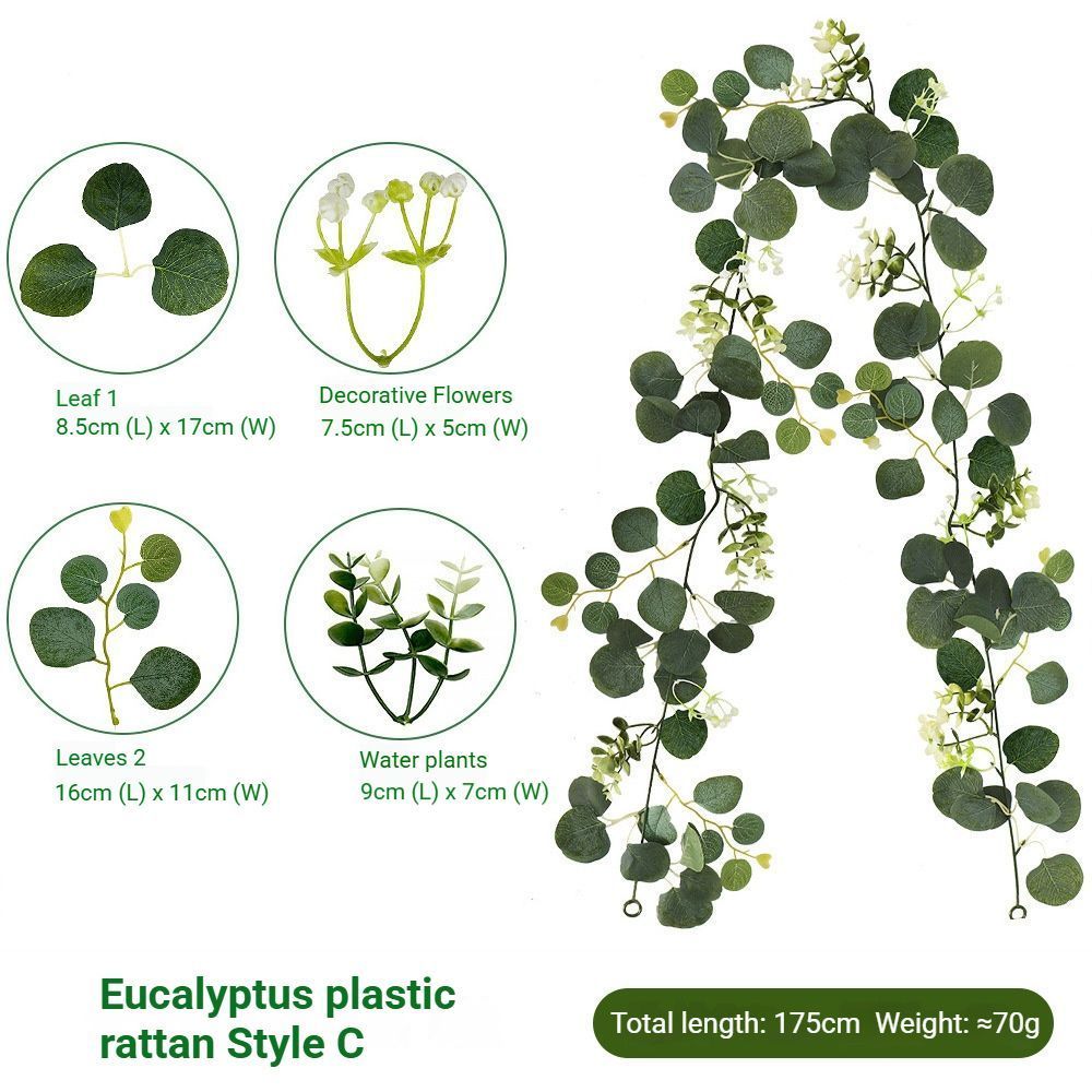 Eucalyptus Rattan - 36 Heads-C - Image 1