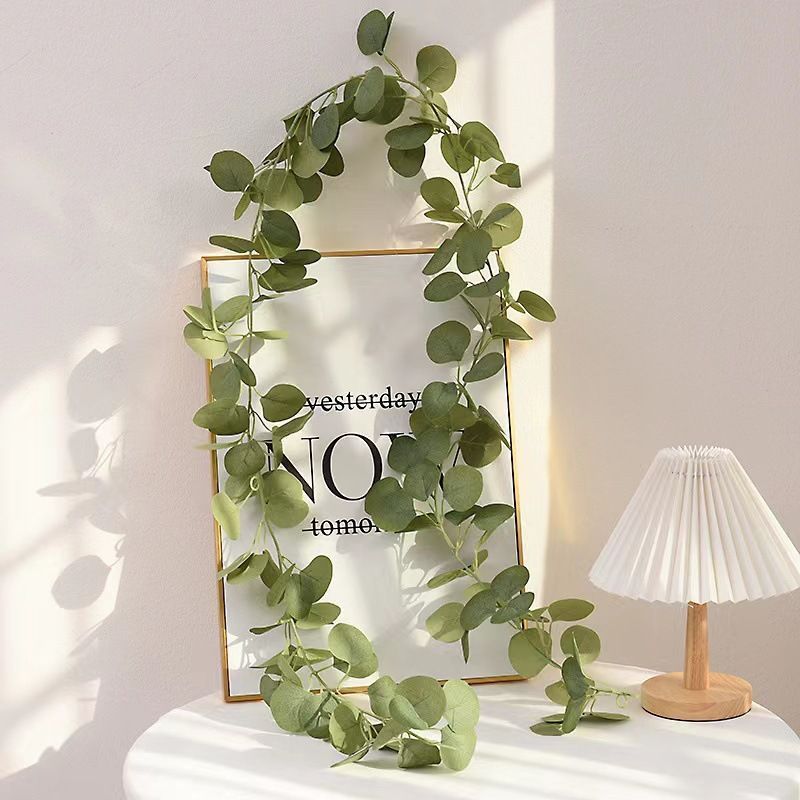 Eucalyptus Rattan-48 Heads 3 Forks - Image 1