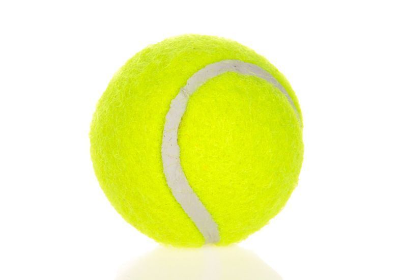 Fluorescent Yellow Dog Tennis Balls 6-Pack - 2 Inch - Image 4