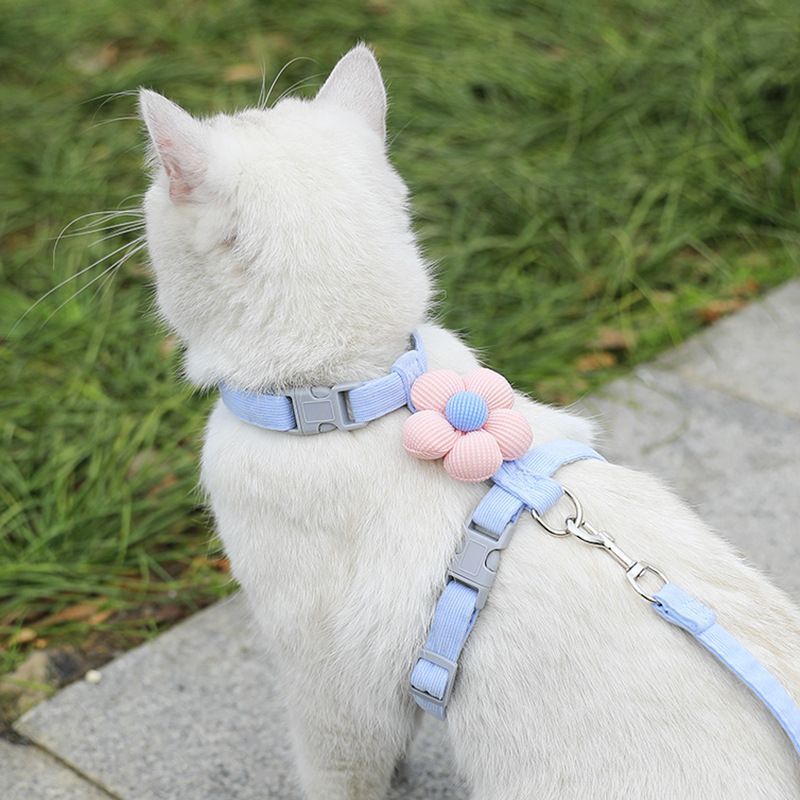 Pet Harness-Blue+1.8m Leash+Size M - Image 1