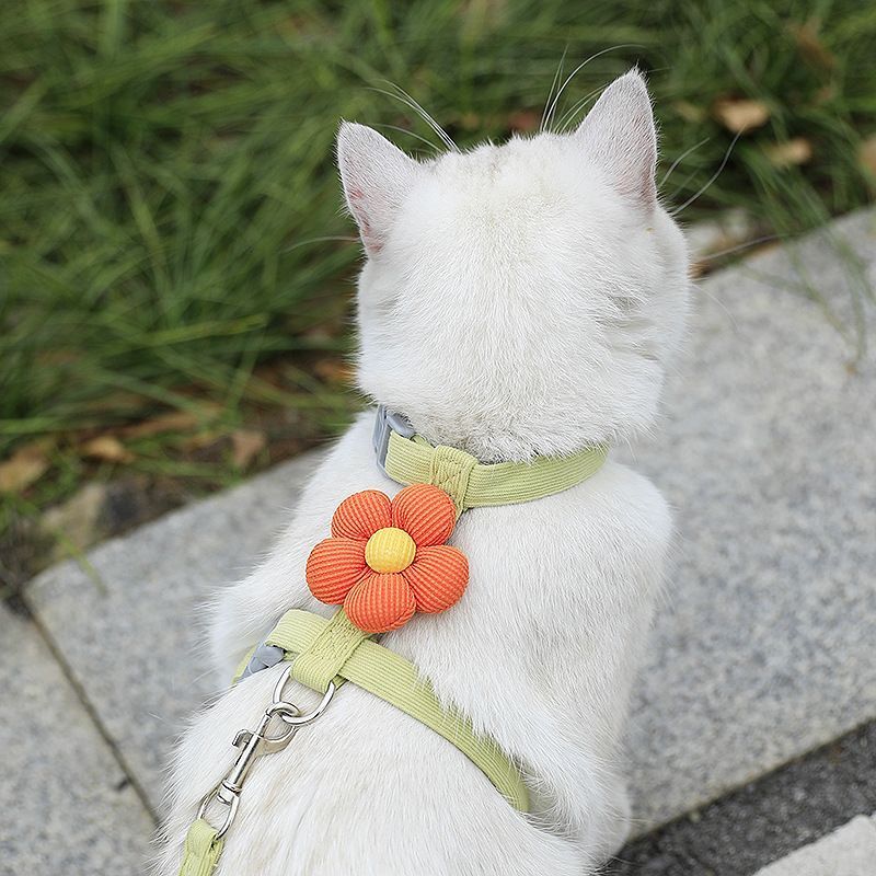 Pet Harness-green+1.2m Leash+Size M - Image 1