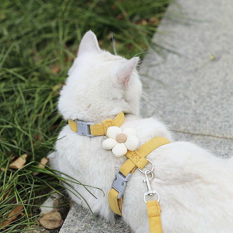 Pet Harness-yellow+1.8m Leash+Size M - Image 1
