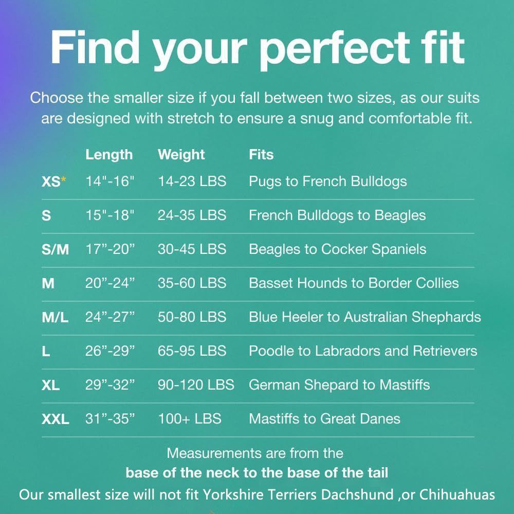 Pet physiological pants-S - Image 3