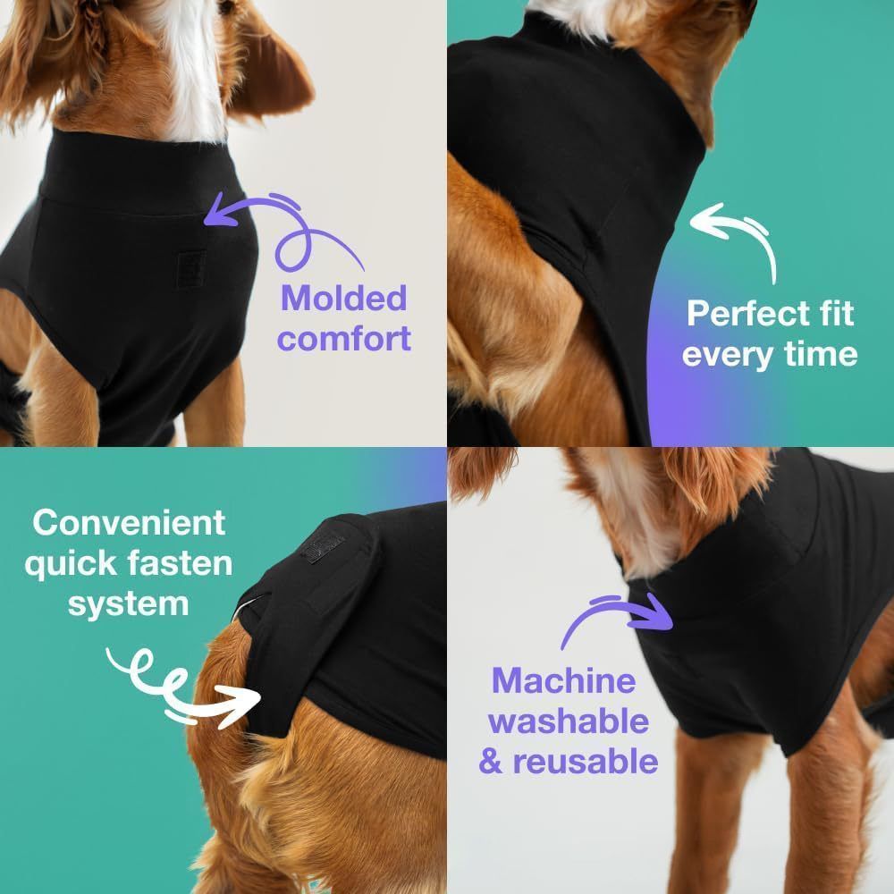 Pet physiological pants-S - Image 5