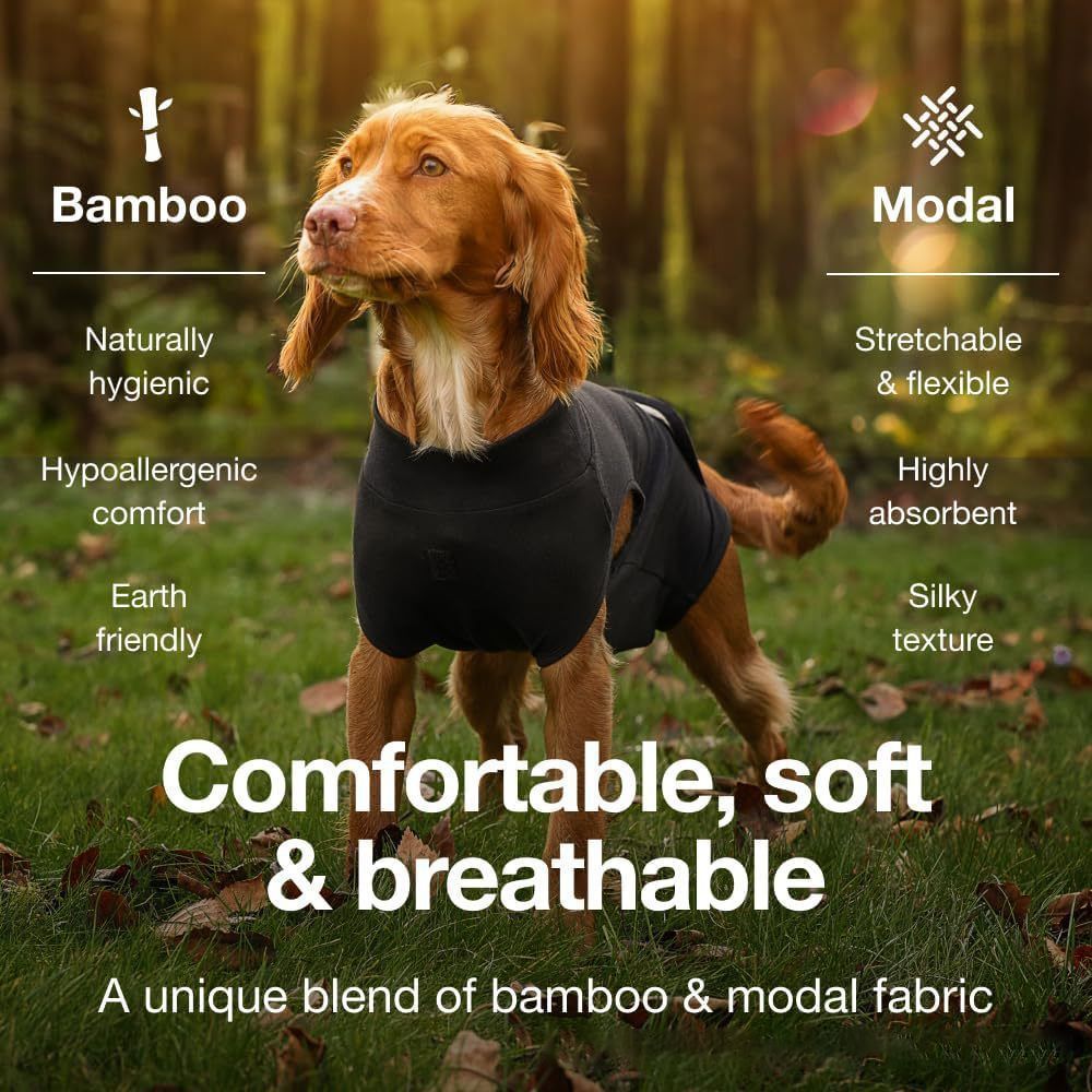 Pet physiological pants-XL - Image 2
