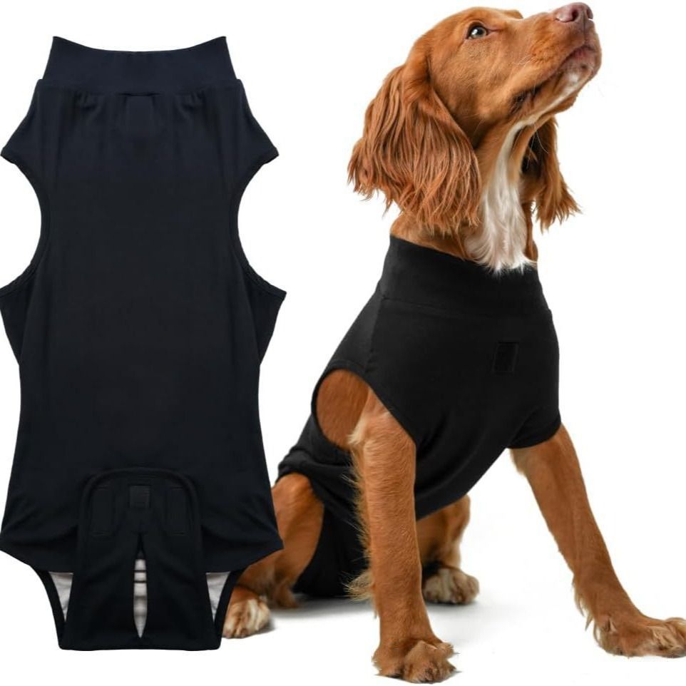 Pet physiological pants-XXL - Image 1