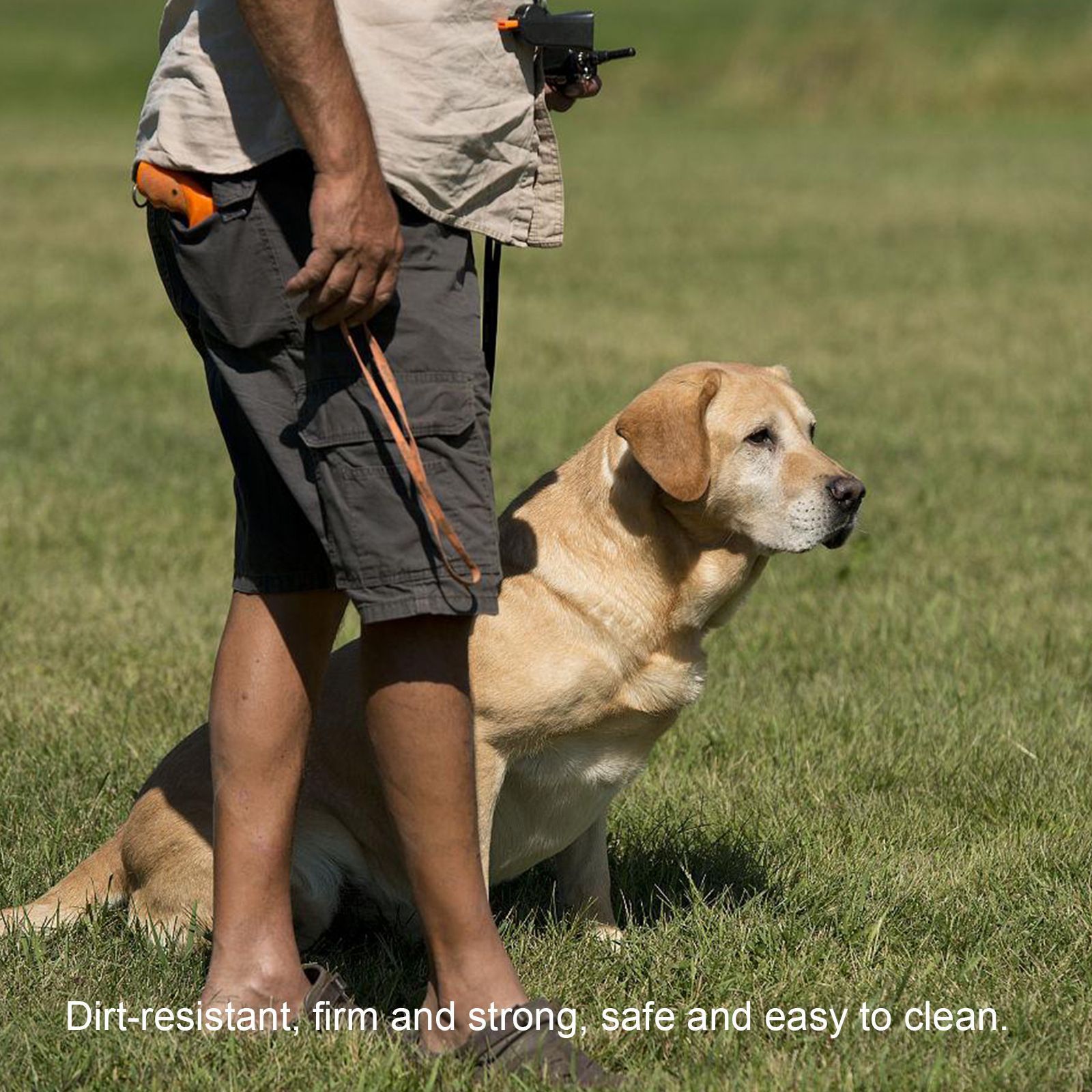 Pet snack bag-A - Image 5