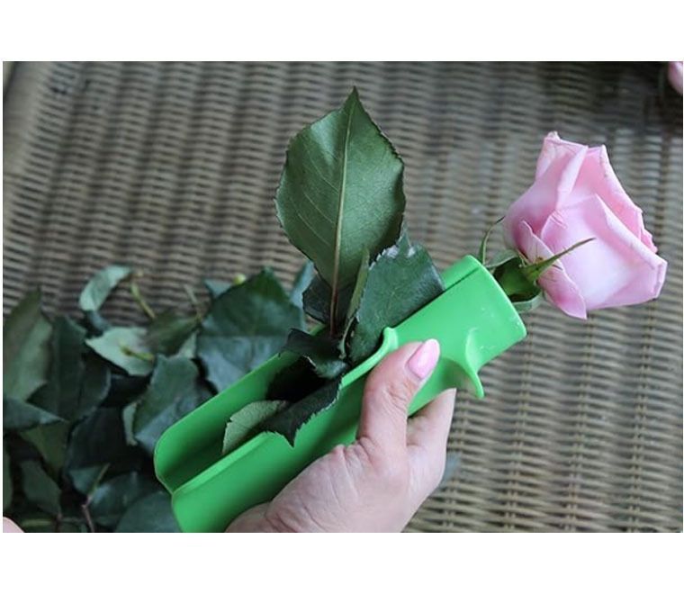 Rose thorn remover-Green - Image 6