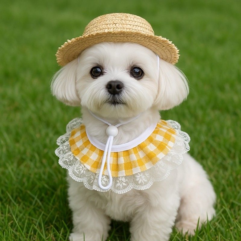Straw Hat And Yellow Lace Bib - Image 6