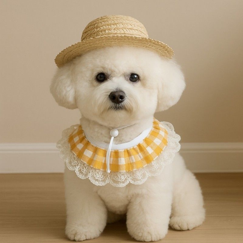 Straw Hat And Yellow Lace Bib - Image 7
