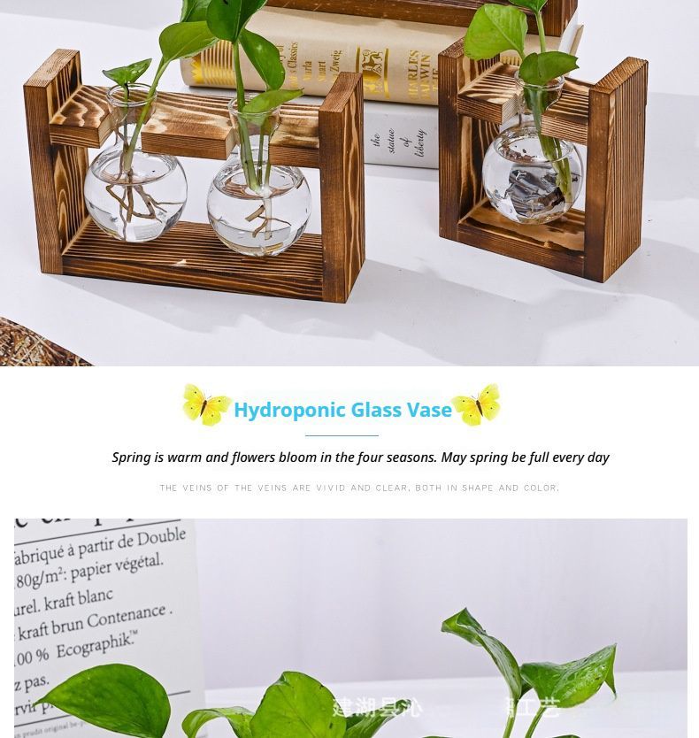 HydroponicWoodenFramewithSnap-On-Heart-ShapedSingleBottle - Image 4
