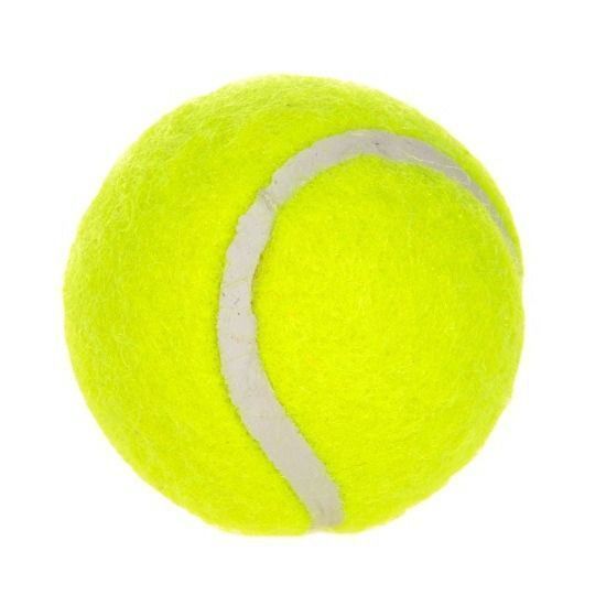 6-Pack 2inch Yellow Dog Tennis Balls - Image 1