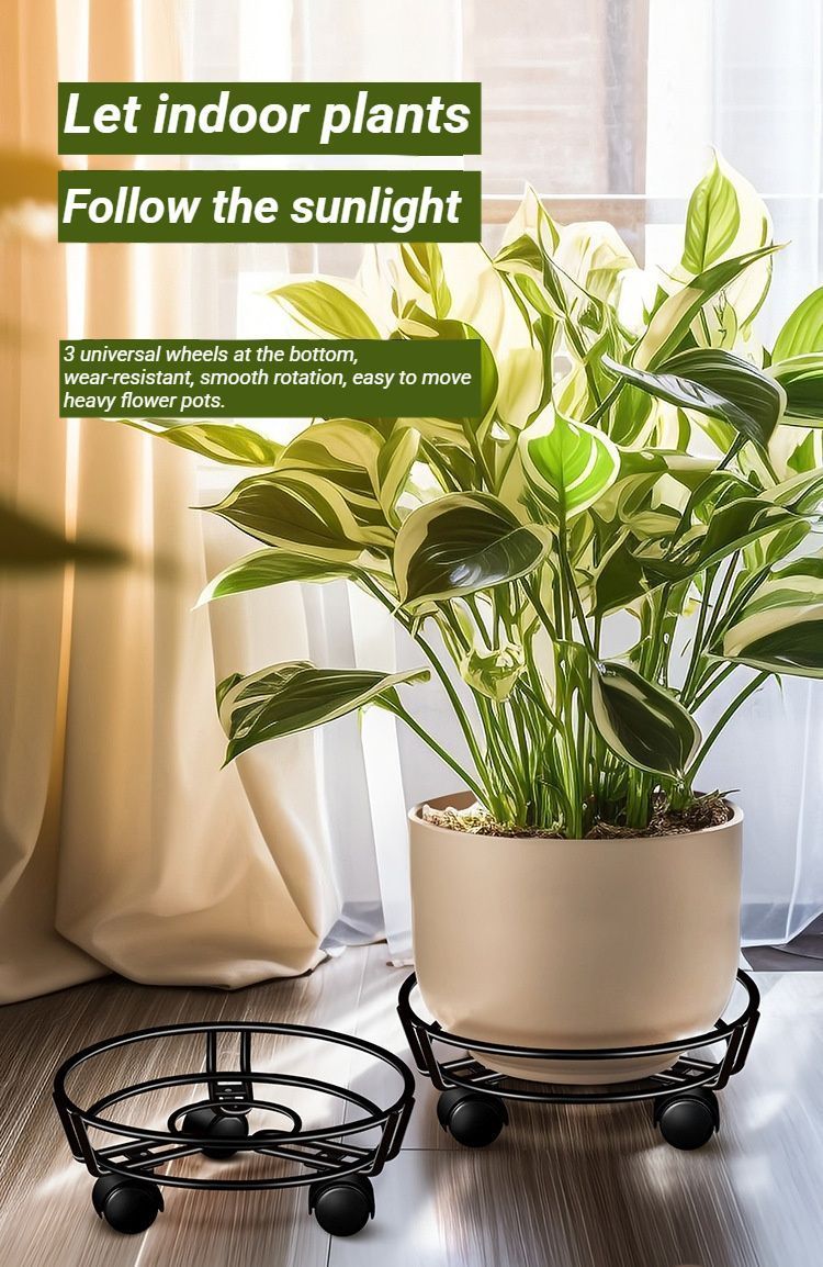 Black Round Wheel Plant Caddy - Image 6