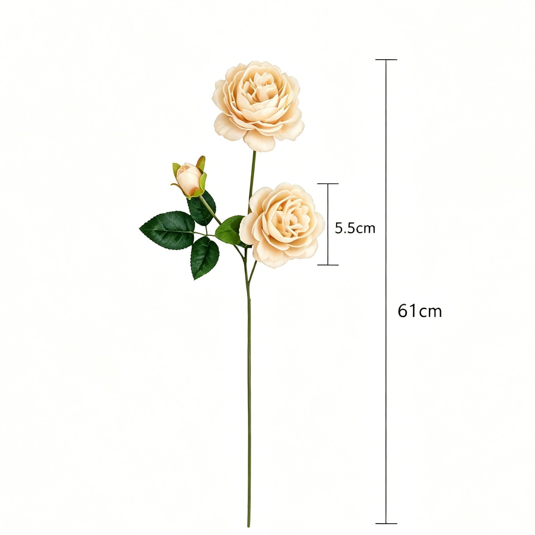 Artificial Champagne French Peony, Gentle Decor, 3 Pack - Image 4