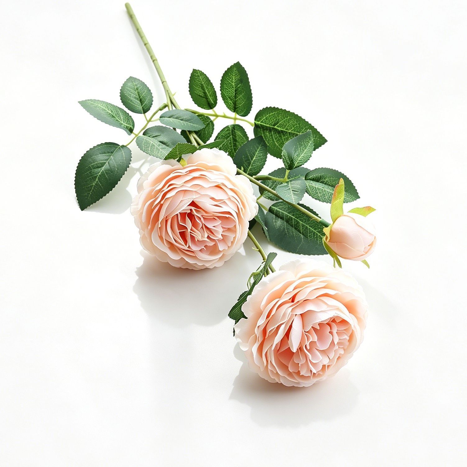 Artificial Champagne French Peony, Gentle Decor, 5 Pack - Image 1
