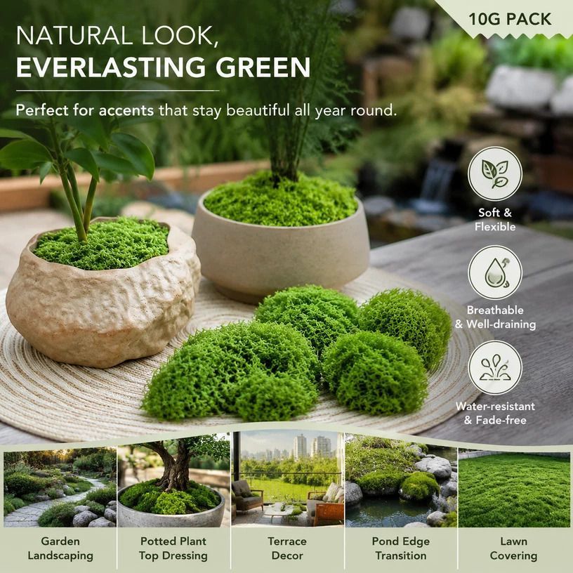 Light Green Mini Preserved String Moss Bonsai Filler 10g - Image 1