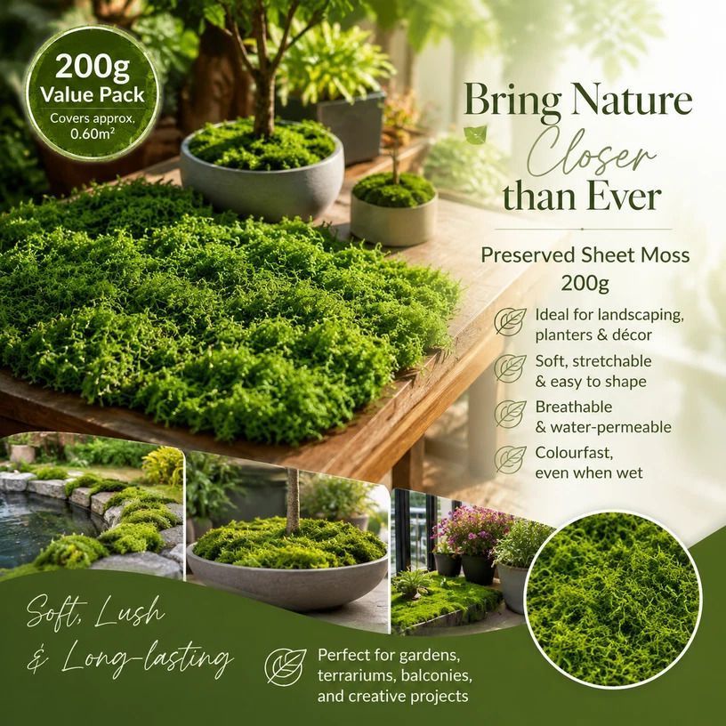 Light Green Bulk Preserved String Moss Terrarium Decor 200g - Image 1