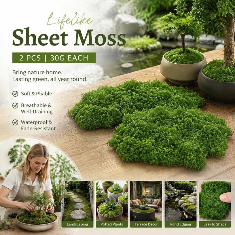 Dark Green Preserved String Moss Bonsai Top Dressing Kit Set of 2 Bags 30g Each - Image 1