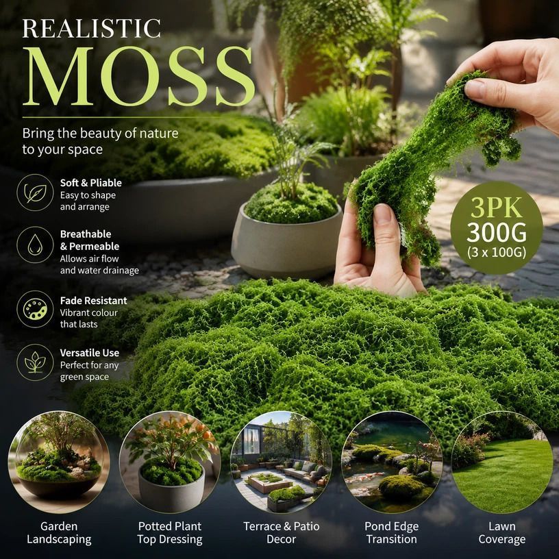 Dark Green String Moss Indoor Plant Decor Set of 3 Bags 100g - Image 1