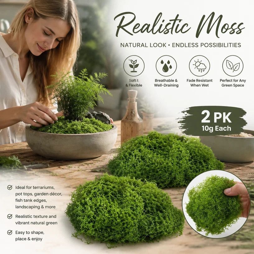 Light Green Mini Preserved String Moss Bonsai Filler Set of 2 Bags 10g - Image 1