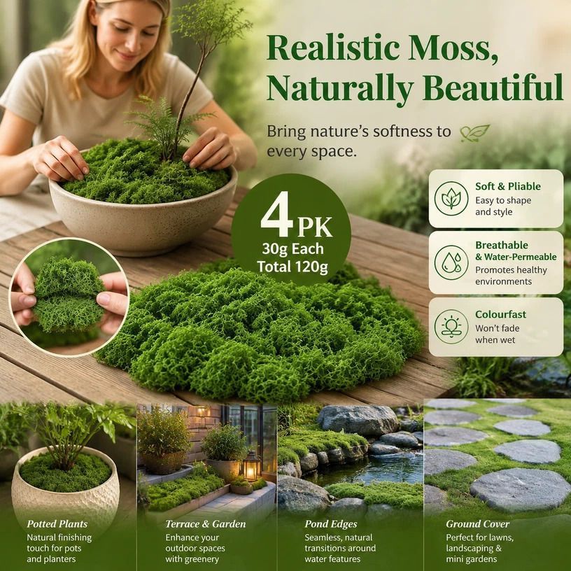 Dark Green Preserved String Moss Bonsai Top Dressing Set of 4 Bags 30g - Image 1