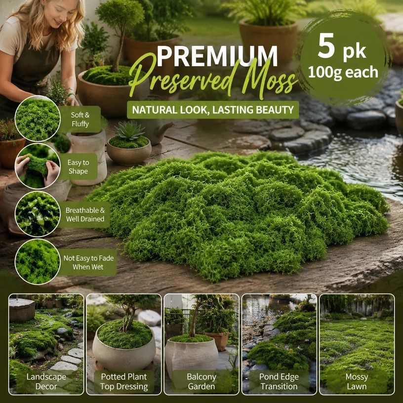 Dark Green Preserved String Moss Indoor Plant Decor Set of 5 Bags 100g - Image 1