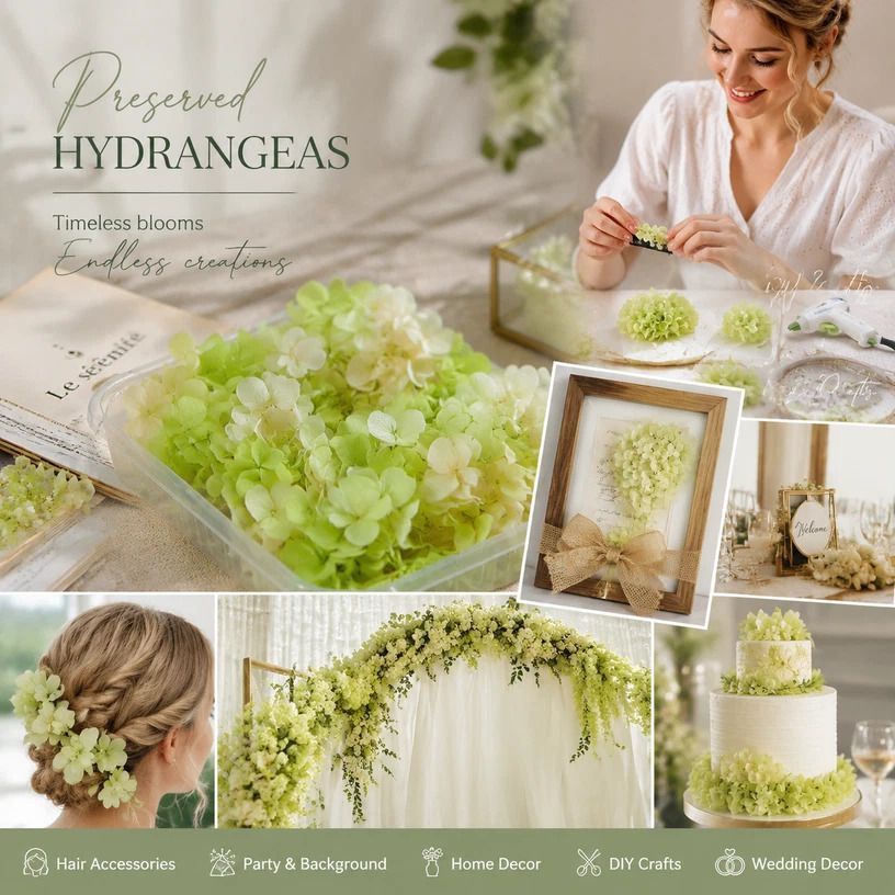 Pale Green Champagne Preserved Hydrangea Gradient DIY Candle Supply 5g Pack - Image 1