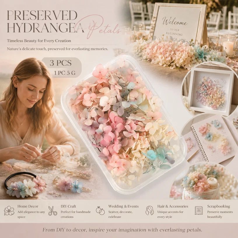 Champagne Gradient Preserved Hydrangea Dried Craft Flower Pack of 3 Boxes 5g - Image 1
