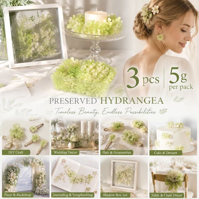 Pale Green Champagne Preserved Hydrangea Gradient DIY Accessory Kit 3 Pack - Image 1