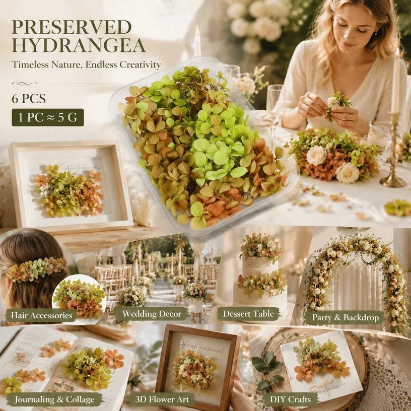 Soft Jade Tone Preserved Hydrangea Resin Craft Supply Kit 6×5g Boxes - Image 1