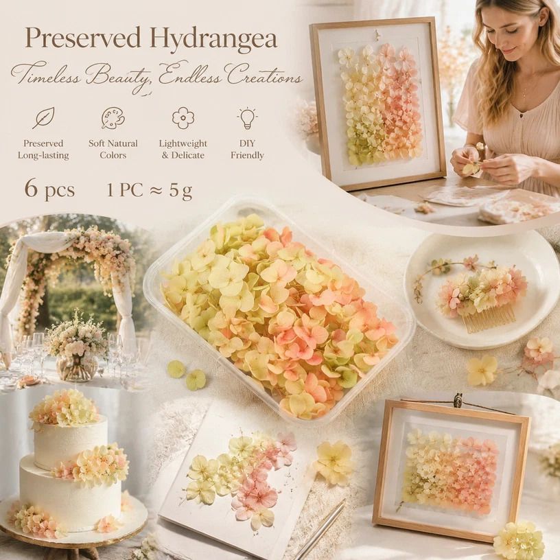Modern Mixed Shade Preserved Hydrangea DIY Floral Craft Bundle Set of 6 - Image 1