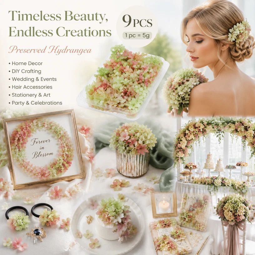Warm Mixed Shade Preserved Hydrangea Craft Accessory Bundle Set of 9 Boxes - Image 1