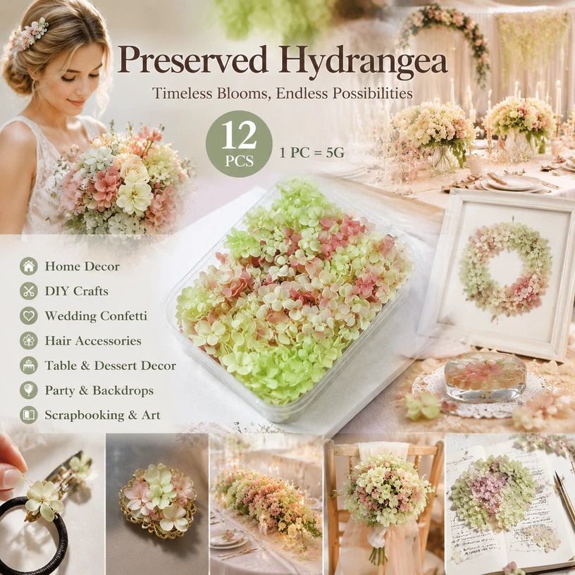 Warm Mixed Shade Preserved Hydrangea Craft Accessory Large Bulk Pack 12 Pack - Image 1