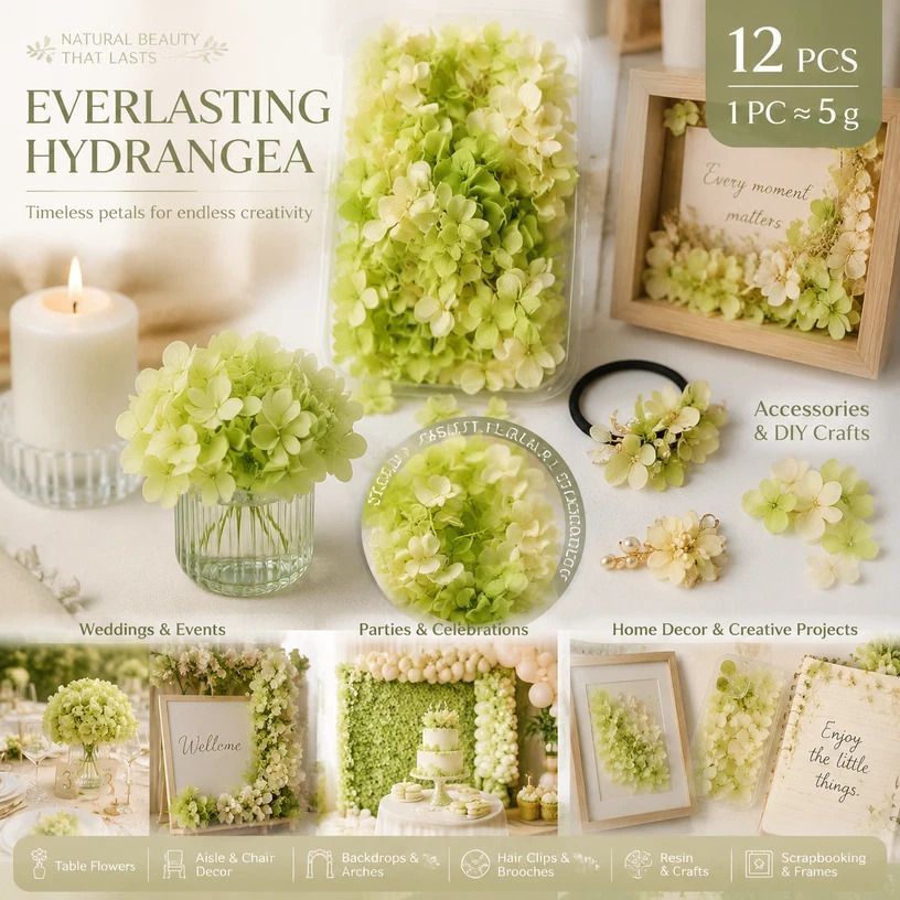 Pale Green Champagne Preserved Hydrangea Resin Making Bulk Supply Pack 12 - Image 1