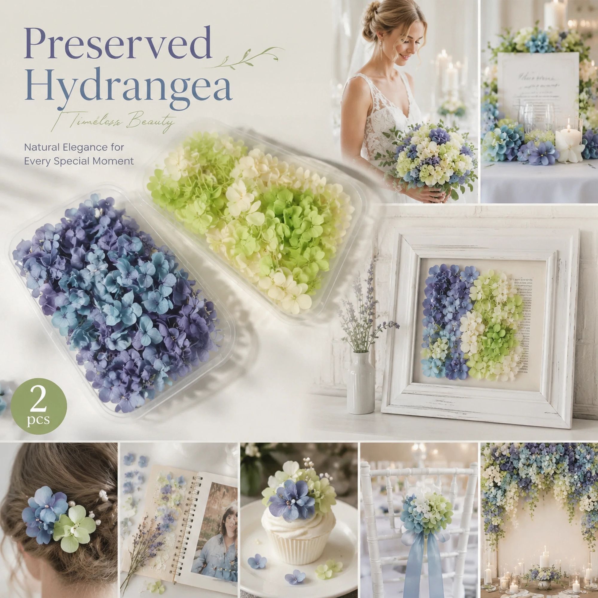 Blue Purple Shade & Pale Green Champagne Preserved Hydrangea Frame Craft Material Set of 2 - Image 1